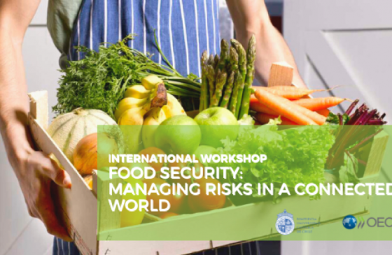 Workshop internacional: Food Security: Managing Risks in a Connected World