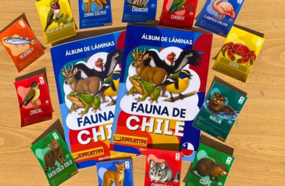 Exalumna de Educación UC crea álbum de láminas para acercar la fauna nativa chilena a niños y niñas
