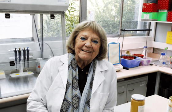Profesora emérita y exalumna UC, Gloria Montenegro, se convierte en la primera mujer en recibir el Premio Nacional de Ciencias Aplicadas y Tecnológicas